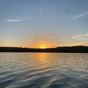 Meet your Posher, Stella